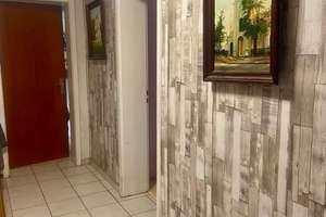 Wohnen in bester Lage - Freistehendes Einfamilienhaus in Halle – Die vollständige Adresse der Immobilie erhältst du vom Anbieter., 33790 Halle (Westfalen) – Vorschaubild 3