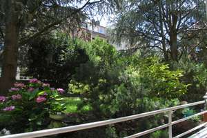 Single-Wohnung 50m² , KM 325,- , 2 1/2 Zimmer , Balkon, Einbauküche
