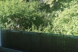 Sehr helle, ruhige 3 Zimmer Balkon-Wohnung, Nähe UKE - direkt vom Eigentümer – Henning-Wulf-Weg 16, 22529 Lokstedt, Hamburg – Vorschaubild 5