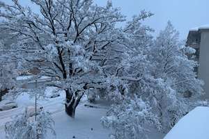 Property thumbnail 14