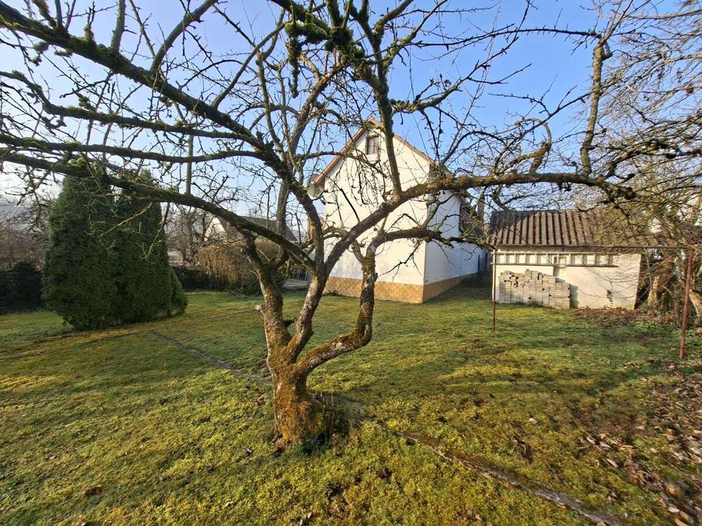 Immobilie in Giengen an der Brenz - Charmantes und kompaktes Einfamilienhaus mit Garten in Burgberg - Bild 4