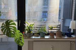 Property thumbnail 2