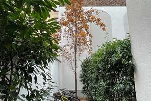 ***BRÜCKENSTRASSE***Wunderschönes, teilmöbliertes Architekten-Loft mit eigenem Garten*** – Kleine Brückenstraße 3, 60594 Sachsenhausen-Nord, Frankfurt am Main – Vorschaubild 2