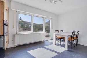Sommer, Sonne, Kaktus – Neuwied (Kreis) – Vorschaubild 13