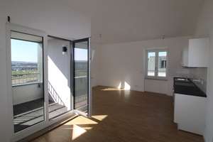 Frei ab 15.04. * Moderne 2-Zimmer-Wohnung mit Balkon & Tageslichtbad