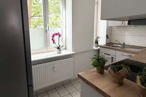 Süßes Nest in Traumlage direkt an der Elbe – An der Elbe 3, 39104 Buckau, Magdeburg – Vorschaubild 11