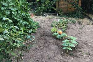 Helle 4-Zimmer Hochparterrewohnung mit Garten in Ansbach -Rügländer Viertel- ab sofort zu vermieten – Böcklerweg 10, 91522 Innenstadt, Ansbach – Vorschaubild 11