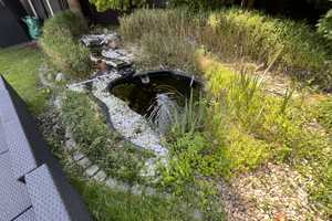 Property thumbnail 9