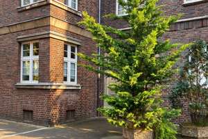 Charmante Altbauwohnung in der Hannover-Südstadt - 4 Zimmer, saniert, provisionsfrei