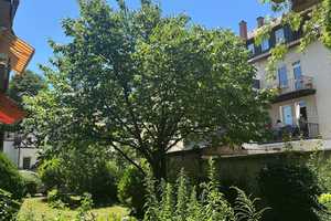 Provisionsfrei, Kernsanierte 3 Zimmer Wohnung im Herzen von Heilbronn  – Heilbronn – Vorschaubild 20