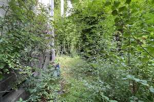 RESERVIERT -Charmantes Eck - Haus mit pittoreskem Naturgarten !Wir heißen SIE ❤️-lich Willkommen – Die vollständige Adresse der Immobilie erhältst du vom Anbieter., 69121 Handschuhsheim, Heidelberg – Vorschaubild 8
