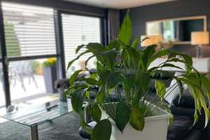 Mit Stil und Eleganz Wohnen in ruhiger Lage !!! – Esslingen (Kreis) – Vorschaubild 6