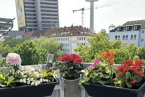 Nachmieter gesucht ,zentrale 1-Zimmerwohnung mit Balkon in Hannover Oststadt ab 15.04 – Die vollständige Adresse der Immobilie erhältst du vom Anbieter., 30161 Oststadt, Hannover – Vorschaubild 2