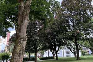 Property thumbnail 23