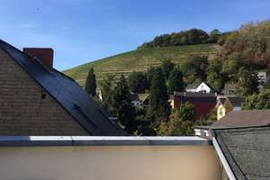 3-Zi-Whg. für Single oder Paare mit Dachterrasse in schöner Lage an der Mosel – Am Zehnthof 11, 56072 Güls, Koblenz – Vorschaubild 15