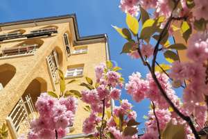 Property thumbnail 24