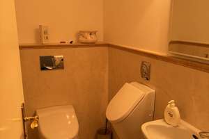 Property thumbnail 18