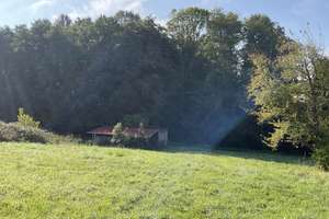 Idyllisches Anwesen mit viel Wiesen und Wald  – Die vollständige Adresse der Immobilie erhältst du vom Anbieter., 76571 Gaggenau – Vorschaubild 5