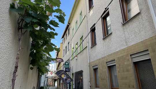 Bild von Wohn- und Geschäftshaus mit Ferienwohnungen und Rheinblick