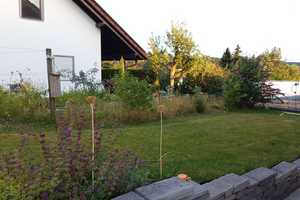 Exklusives und ökologisches Einfamilienhaus mit Einliegerwohnung und geräumiger Garage – Ochsenburger Straße 24, 74374 Heilbronn (Kreis) – Vorschaubild 32