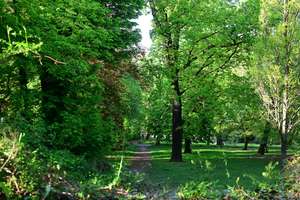 ***wunderschöne Gartenwohnung am Weißensee- barrierefrei !!!*** – Die vollständige Adresse der Immobilie erhältst du vom Anbieter., 13086 Weißensee, Berlin – Vorschaubild 20
