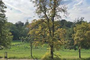 Property thumbnail 47