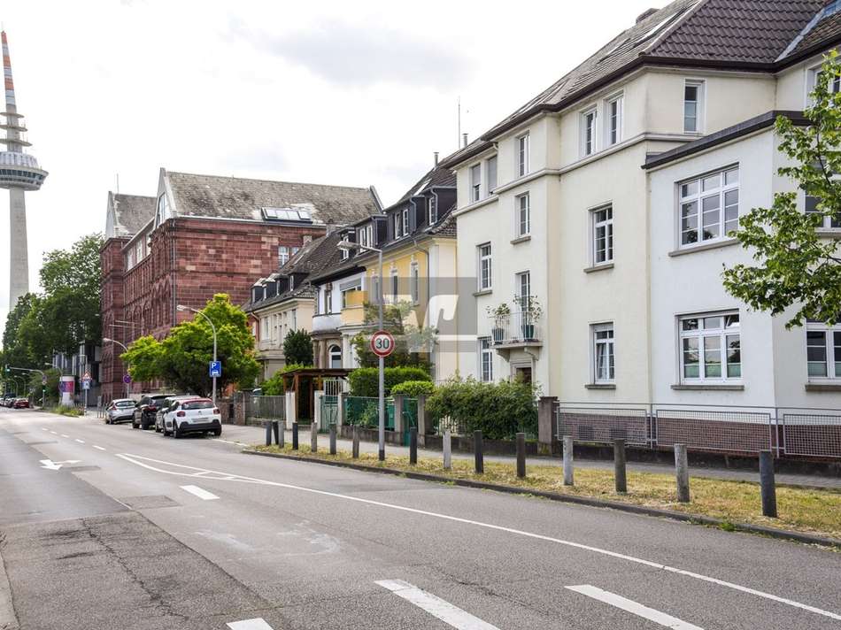 Der Luisenpark und der Fernmel
