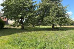ehemaliger Bauernhof mit zwei Wohnhäusern und besonderem Charme – Die vollständige Adresse der Immobilie erhältst du vom Anbieter., 63633 Birstein – Vorschaubild 6