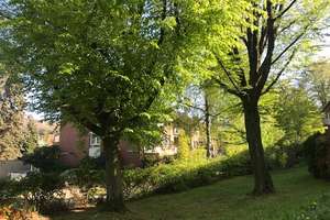 Gemütliche 3-Zimmer-Wohnung mit Terrasse in HH-Bramfeld – Heukoppel 50, 22719 Bramfeld, Hamburg – Vorschaubild 11