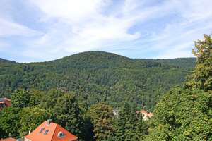 Historischer Charme trifft modernen Luxus in Heidelbergs Bestlage – Die vollständige Adresse der Immobilie erhältst du vom Anbieter., 69118 Schlierbach, Heidelberg – Vorschaubild 19