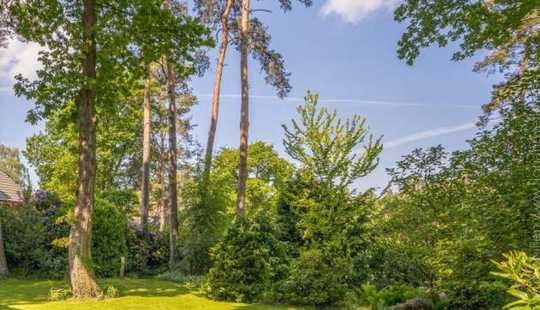 Bild von Großzügiges Ein-/Zweifamilienhaus in bester Lage mit tollem Garten