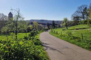 Herrliche Lage direkt am Park - 2-Zi.  Garage und U-Bahn-Nähe