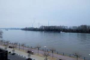 Big 1-2 family house by the rhein river in Wiesbaden Biebrich – Die vollständige Adresse der Immobilie erhältst du vom Anbieter., 65203 Biebrich, Wiesbaden – Vorschaubild 14