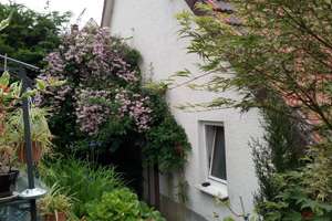 1-3 Fam. Haus ca 360 qm in WILLEBADESSEN zwischen HÖXTER+PADERBORN+NEBENGEBÄUDE +1000 qm GRUNDSTÜCK – Die vollständige Adresse der Immobilie erhältst du vom Anbieter., 34439 Willebadessen – Vorschaubild 144