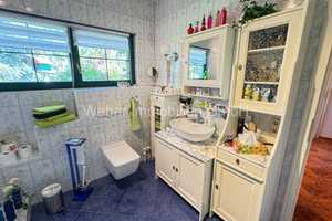 ***GARTEN- UND WOHNTRÄUME WERDEN WAHR***  – Salzlandkreis – Vorschaubild 18