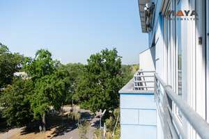 Über den Baumwipfeln: 2-Zimmer-Dachgeschosswohnung mit Grünblick in Karlsruhe-Nordstadt – Die vollständige Adresse der Immobilie erhältst du vom Anbieter., 76149 Nordstadt, Karlsruhe – Vorschaubild 12