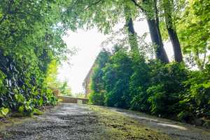 Provisionsfrei! Raum für Ideen: Geräumiges EFH mit idyllischem Südgarten und Ausbauoption – Steinfurt (Kreis) – Vorschaubild 34
