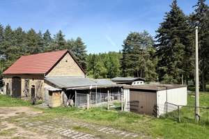 PROVISIONSFREI|Exklusives Anwesen in Alleinlage – Zwei Wohnhäuser, Scheune & Werkstatt auf 4505 qm – Die vollständige Adresse der Immobilie erhältst du vom Anbieter., 6773 Schköna – Vorschaubild 10