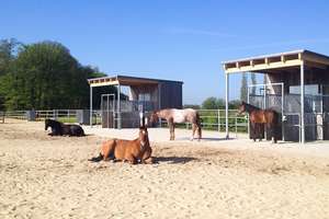 moderne Reitanlage vor den Toren Münsters – Die vollständige Adresse der Immobilie erhältst du vom Anbieter., 48317 Drensteinfurt – Vorschaubild 11