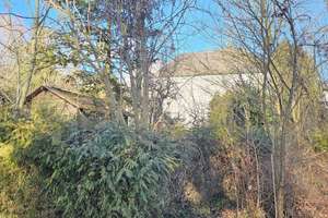 Seltene Gelegenheit am Ortsrand von Lenting – Großes Traumgrundstück, Haus, Natur & Potential – Guttenbergerstr. 40, 85101 Lenting – Vorschaubild 12