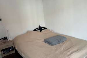 Helle 2-Zimmer Wohnung mit Balkon in Magdeburg-Neustadt – Morgenstraße 65, 39124 Neue Neustadt, Magdeburg – Vorschaubild 11