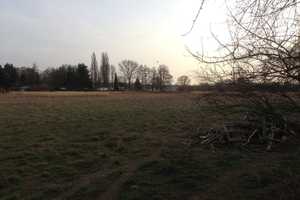 Traumhaus in Traumlage – Wildrosenweg 3, 14542 Potsdam-Mittelmark (Kreis) – Vorschaubild 15