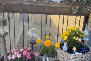 Property thumbnail 10