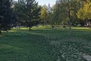 Property thumbnail 8