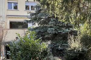 Für die junge handwerkliche Familie!  – Die vollständige Adresse der Immobilie erhältst du vom Anbieter., 6406 Bernburg (Saale) – Vorschaubild 7