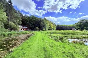 "Einziehen, abschalten, genießen – Leben wie im Urlaub" Einfamilienhaus auf Naturgrundstück in B – Die vollständige Adresse der Immobilie erhältst du vom Anbieter., 29646 Bispingen – Vorschaubild 3