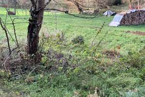 Zwangsversteigerung im März ++ Zweifamilienwohnhaus ++ 
Provisionsfrei für Käufer!! In 66687 Wade – Die vollständige Adresse der Immobilie erhältst du vom Anbieter., 66687 Wadern – Vorschaubild 5