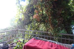 Bonn-Oberkassel, Möbliert-Appartement mit Balkon – Die vollständige Adresse der Immobilie erhältst du vom Anbieter., 53227 Oberkassel, Bonn – Vorschaubild 4
