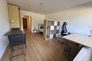 Neu renovierte möblierte 1-Zi-Whg. m. Küche, Balkon, TG-Stellpl. in HD-Handschuhsheim – Die vollständige Adresse der Immobilie erhältst du vom Anbieter., 69121 Handschuhsheim, Heidelberg – Vorschaubild 1