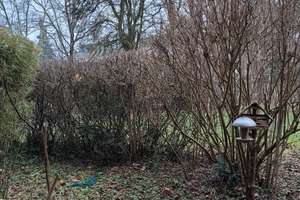 Property thumbnail 31